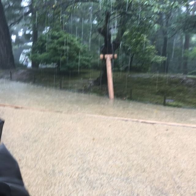 #豪雨 #兼六園