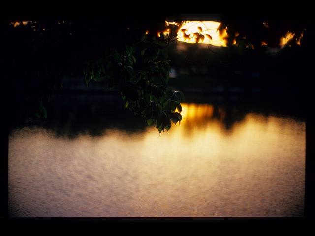 夕暮れ平和公園